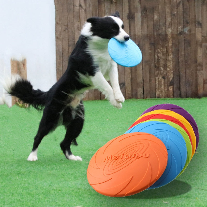 Boomerang de Silicone - Brinquedo para Cães